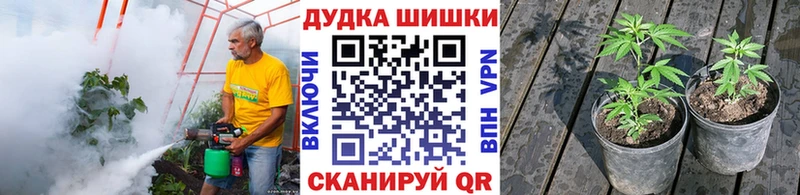 МЕТАДОН Велиж
