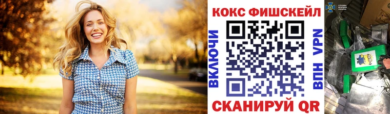 Купить закладки  Велиж  Кокаин FishScale 